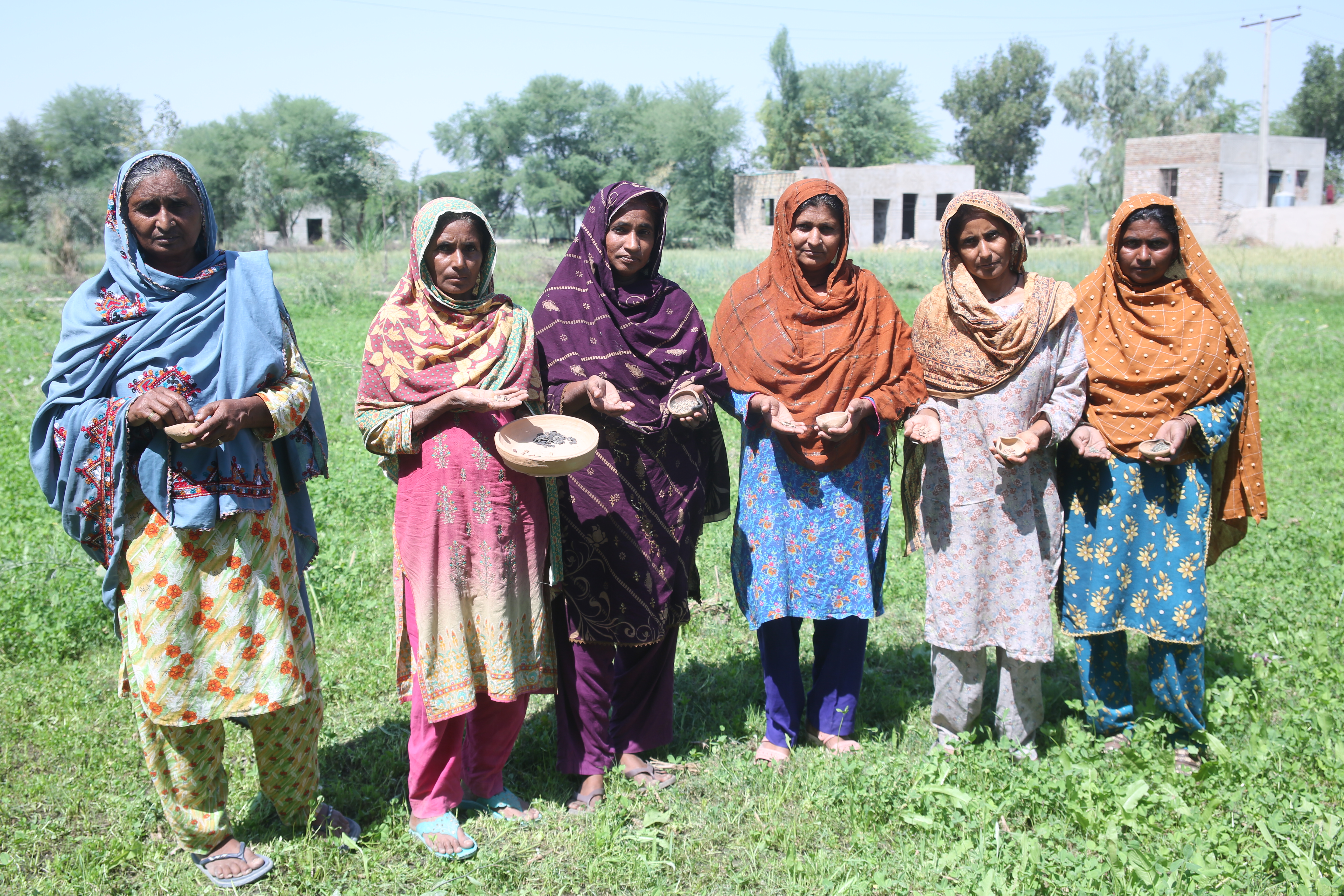 Community structures