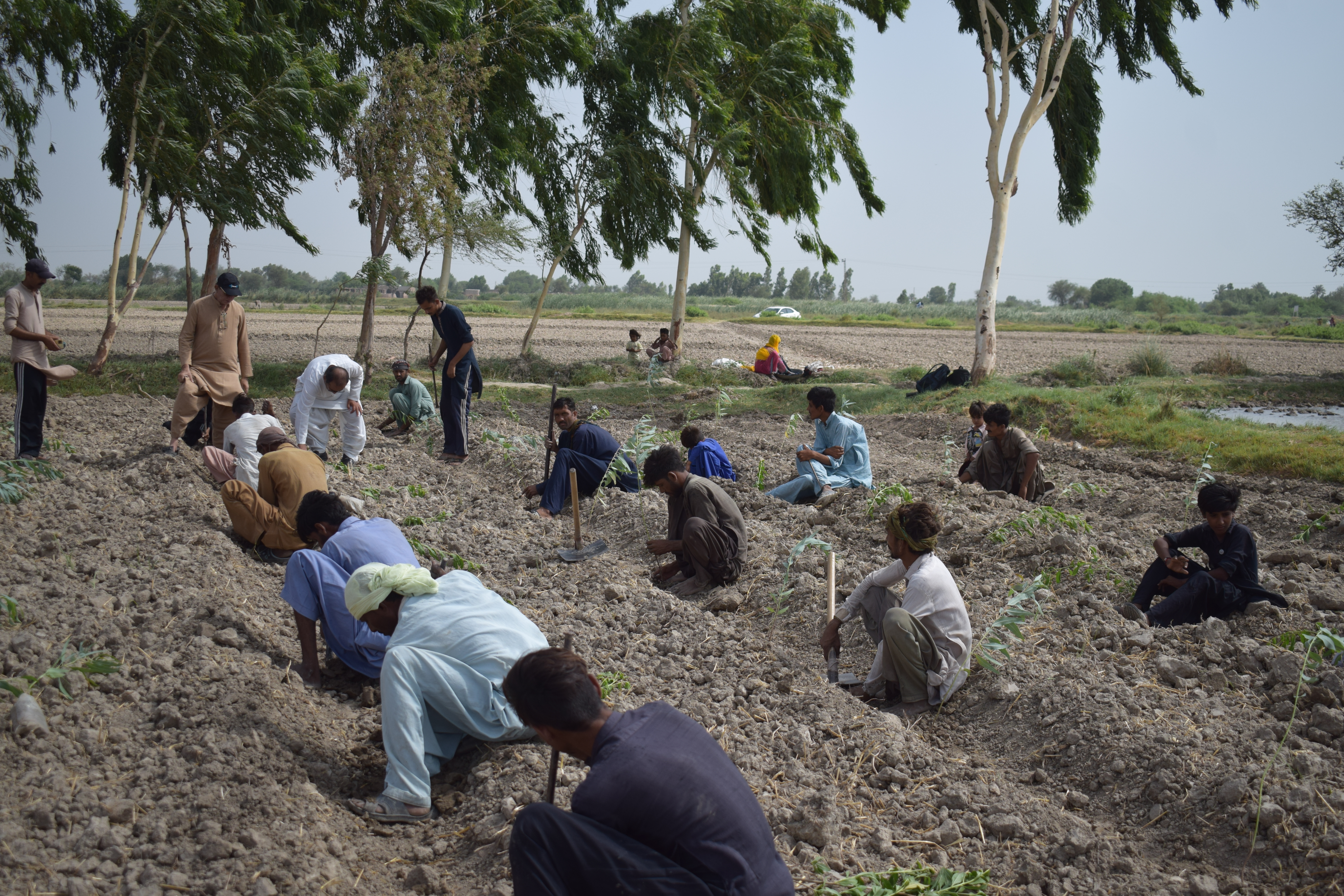 Community structures