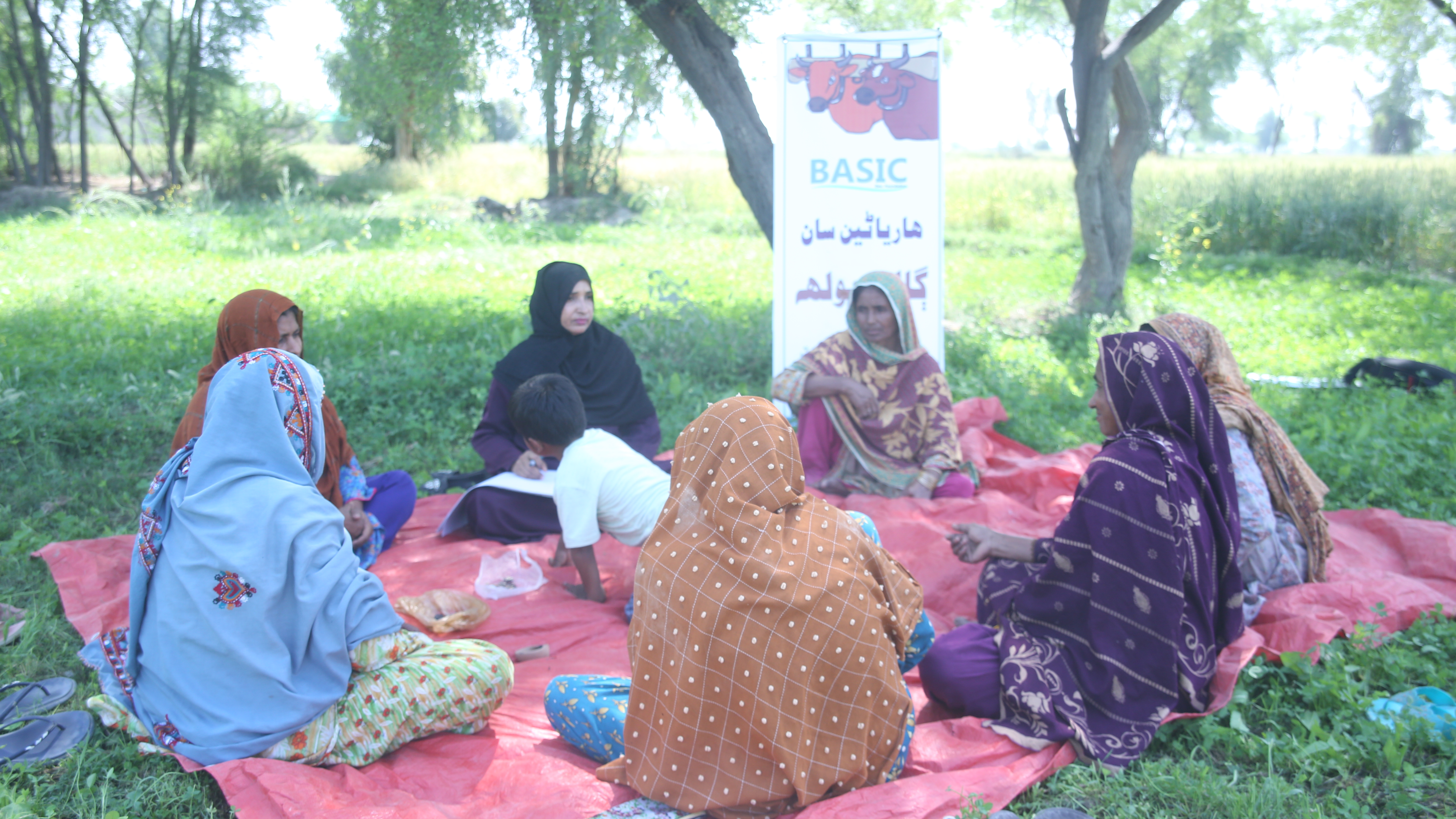 Community structures