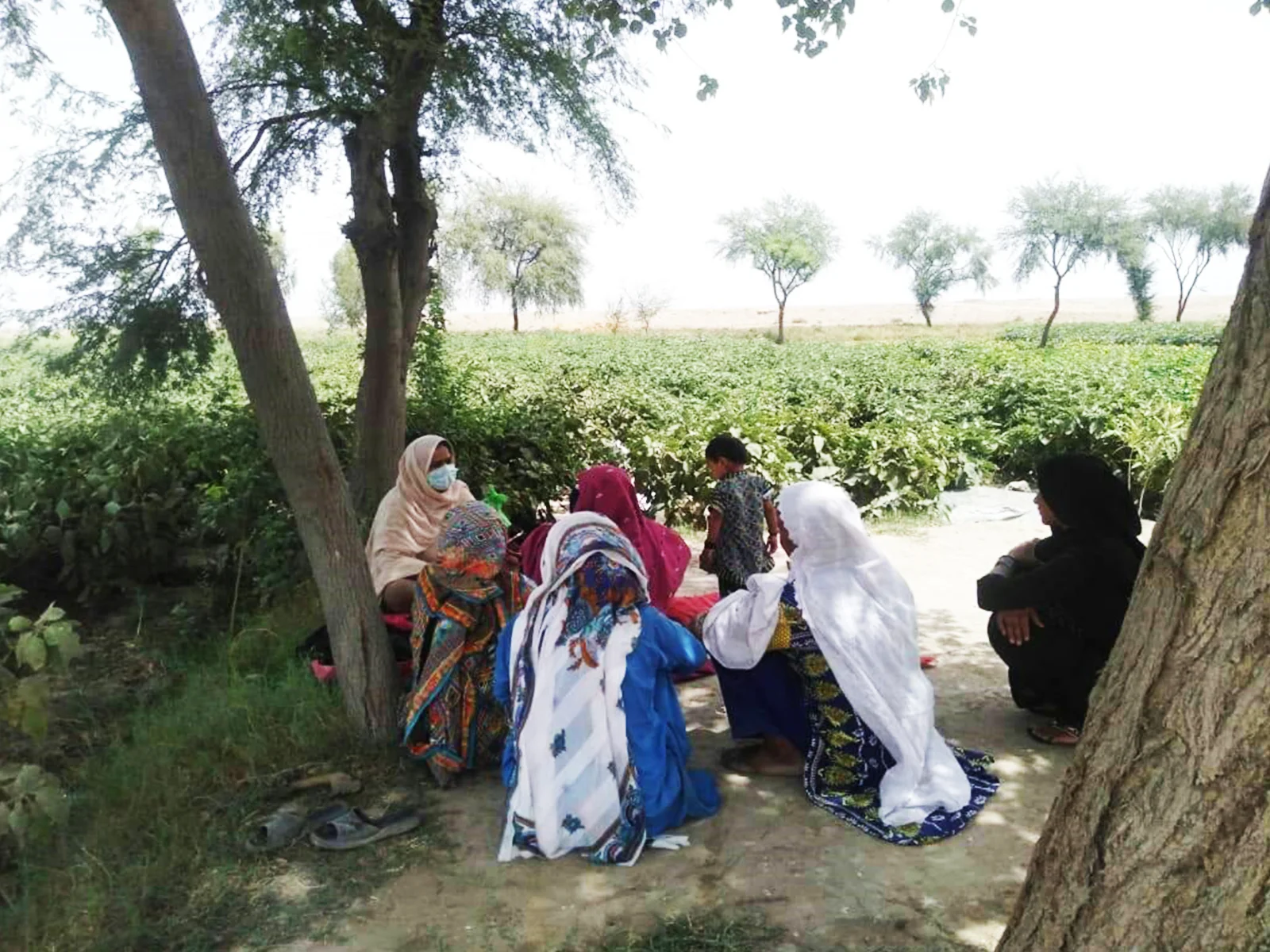 Image gallery marquee