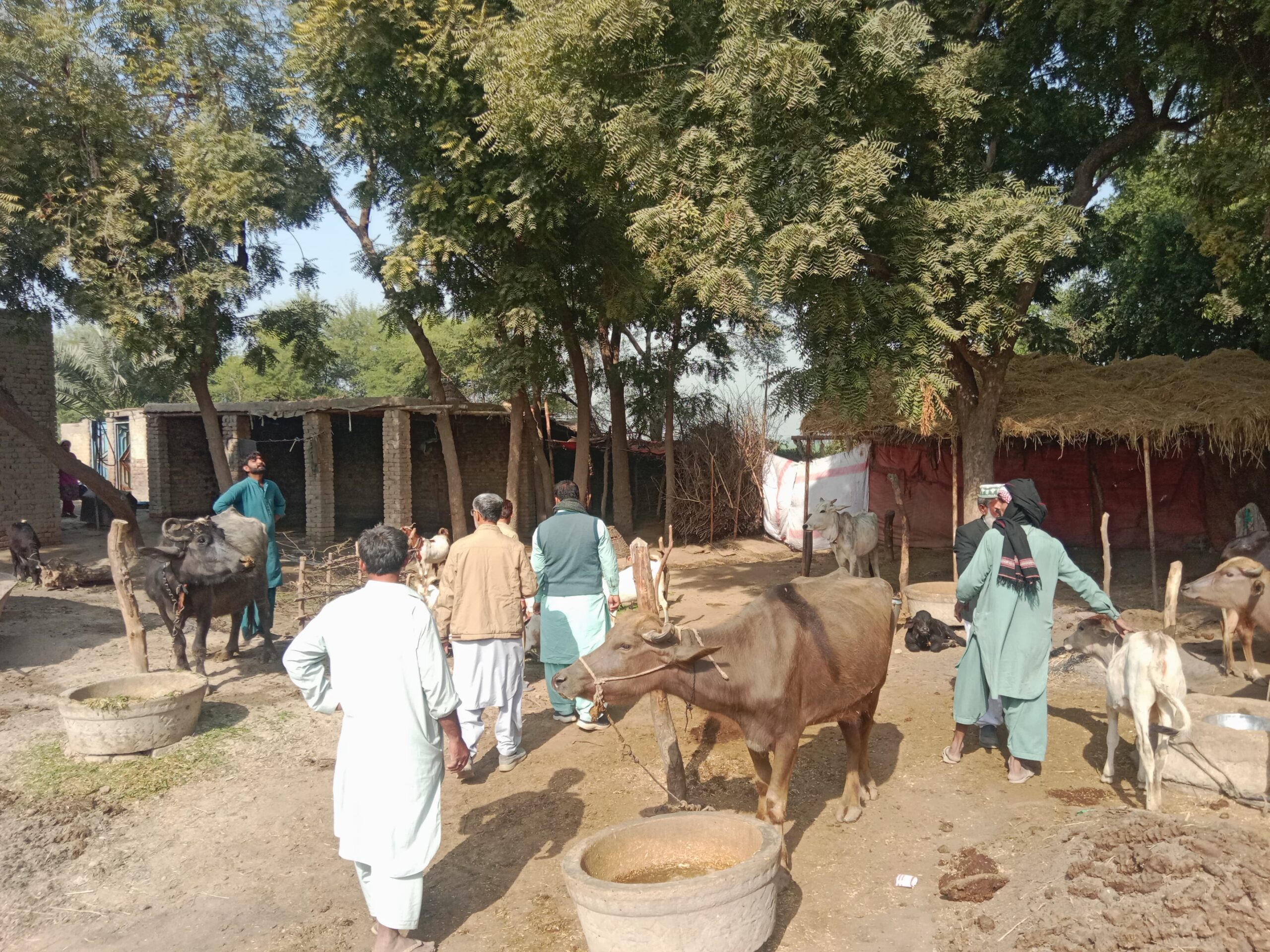 4113cad7-1ef8-4390-b704-d9c5d37290fe