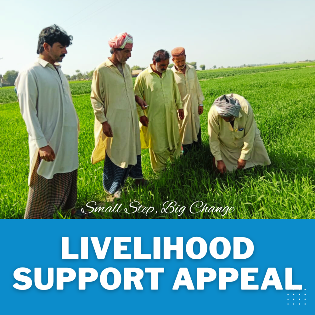 LIVELIHOOD SUPPORT APPEAL