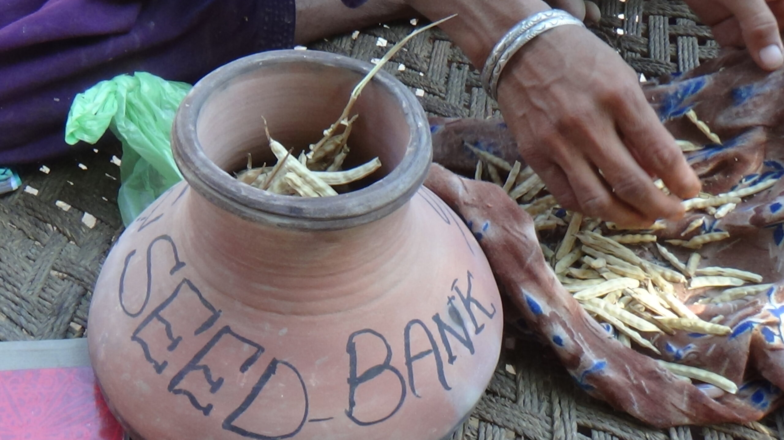 Image gallery marquee